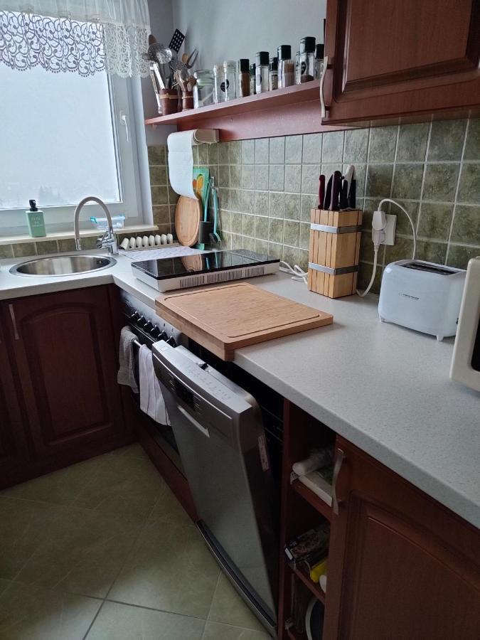 Apartament Zlap Oddech Zakopane Extérieur photo